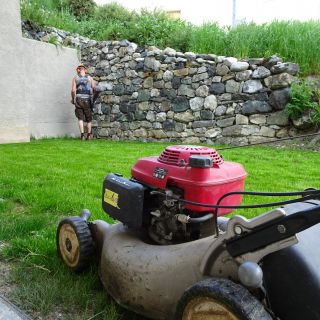 Grüner Rasen wird frisch gemäht mit Rasenmäher.