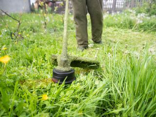Motorsense im grünen Garten im Einsatz.